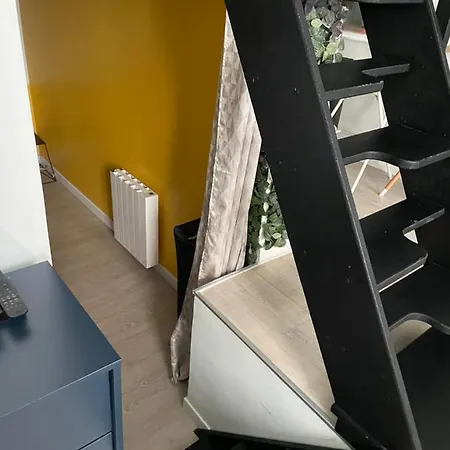 Le Berlier 60m2 + Cour Privee - Centre Historique דירה *