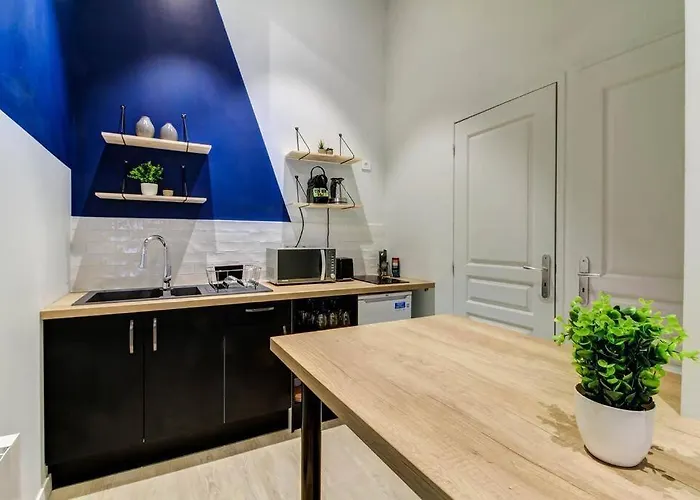 Le Berlier 60m2 + Cour Privee - Centre Historique Apartment *