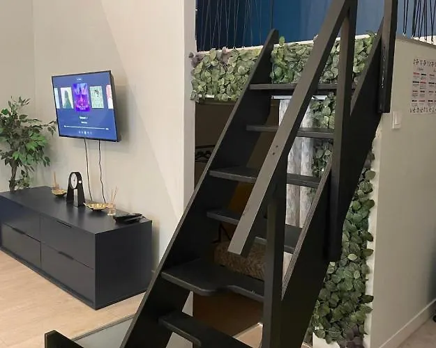 Le Berlier 60m2 + Cour Privee - Centre Historique Apartment Dijon